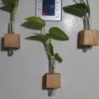 مگنت گلجا یخچال