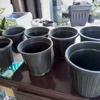 گلدان گلخانه ای نشا ارزان عمده اینترنتی