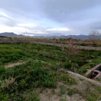 باغ چهار دیواری در بنگین