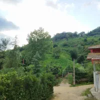 کلنگی-تجاری-مسکونی-بر-اصلی-کتشال-علیسرود