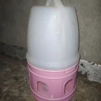آبخوری پرنده