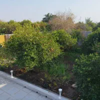 باغبان حرفه ای