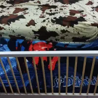 تخت گهواره کودک|تخت و سرویس خواب|برازجان, |دیوار