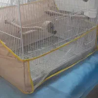 قفس پرنده نونو