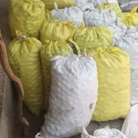 گردو/سفید/مغز/ارگانیک/عمده|خوردنی و آشامیدنی|رشت, کاکتوس|دیوار