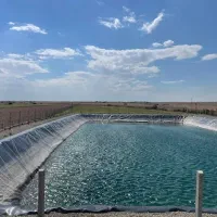 اجاره-یا-مشارکت-پرورش-ماهی-در-استخر-کشاورزی-تهران