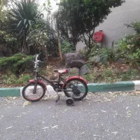 دوچرخه شماره ۱۶