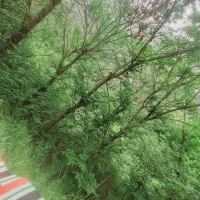 زمین زراعی و باغ دارای چشمه