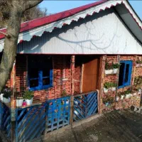 اجاره-کلبه-جنگلی