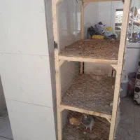 قفس چوبی پرنده چهار طبقه