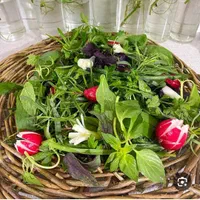 سبزی فروشی .خورد کنی  باغی شهریار|خوردنی و آشامیدنی|نسیم‌شهر, |دیوار