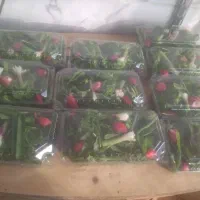 سبزینه سرا|خوردنی و آشامیدنی|قروه, |دیوار