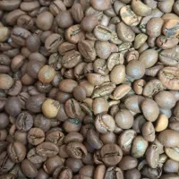 فروش ویژه مخصوص|عمدهفروشی|شیراز, حومه شیراز|دیوار