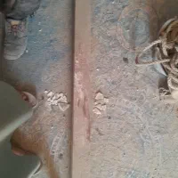 آهن و پنجره