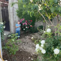 باغچه 400 متری با آب و برق و گاز فول امکانات مبله|فروش خانه و ویلا|رباطکریم, وهن آباد|دیوار