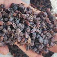 کشمش های گوشتی شیره دار ،خمیر خرما،کشمش چرخ شده