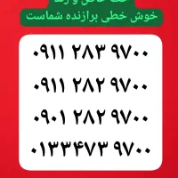 سیم کارت ۹۱۱ جفتی