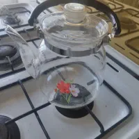 کتری پیرکس
