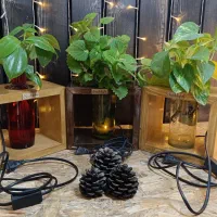 چراغ چهارضلعی|لامپ و چراغ|نیشابور, شهرک فرهنگیان|دیوار