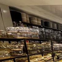 استخدام طراح سایت با ورد پرس و تولید محتوا