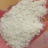 فروش برنج عنبربو و خرمای خوزستان