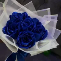 گل های...|گل مصنوعی|پاسارگاد, |دیوار