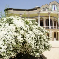 استخدام جوشکار آقا