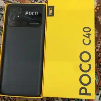 شیامی پوکوc40