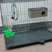 قفس پرنده با تمام ملزومات