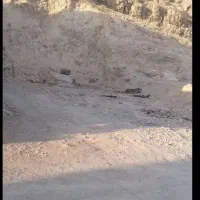 خریدار-زمین-چهارتختی