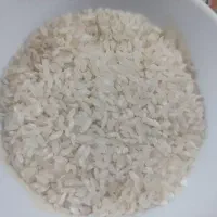 برنج کامفیروزی