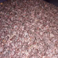 قیصی زردآلوکشمش شیره انگور دوشاب