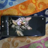 گوشی 12xشیائومی
