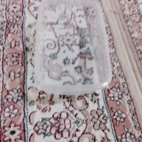 ظرف یکبارمصرف درب دارمایکروویوی|ظروف نگهدارنده، پلاستیکی، یکبارمصرف|قدس, شهرقدس|دیوار