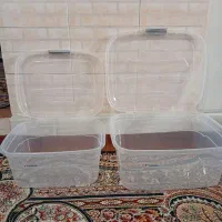 جانونی سالم درحد نو