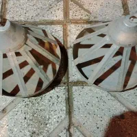 دون خوری پرنده