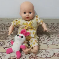 پاندا بزرگ|اسباب‌‌بازی|مشهد, هفت تیر (حافظ)|دیوار