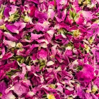 گل محمدی امسالی