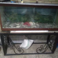 اکواریوم بزرگ با شیشه ده میل