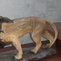 مجسمه شیر