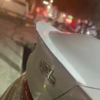 بال عقب شاهین