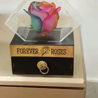 دکوری وتزئینی ،گل جاودان،مجسمه طلایی اسب