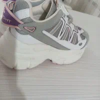 کفش|کیف، کفش، کمربند|تبریز, |دیوار