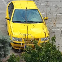 سمند بی رنگ