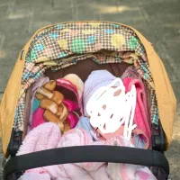 ست کالسکه و کریر