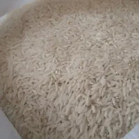برنج فوق العاده شمال خرید بدون واسطه از کشاورز|خوردنی و آشامیدنی|یزد, |دیوار
