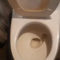 توالت فرنگی