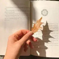 زبان انگلیسی را مثل اب خوردن یاد بگیر