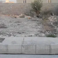 زمین