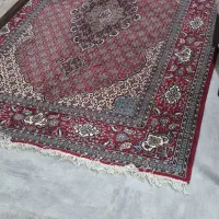 فرش|فرش|گرگان, |دیوار
